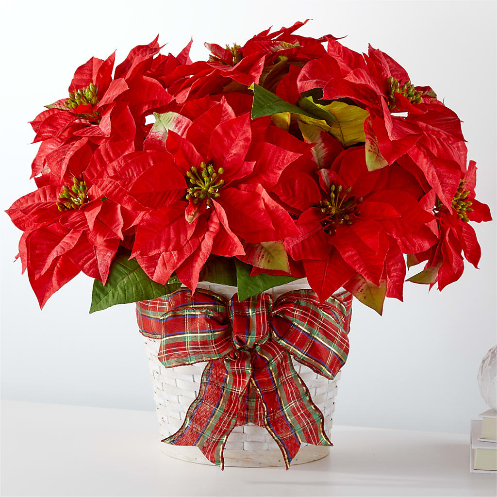 Happiest Holidays Poinsettia – WILL & DEE'S FLORIST, Florence AL
