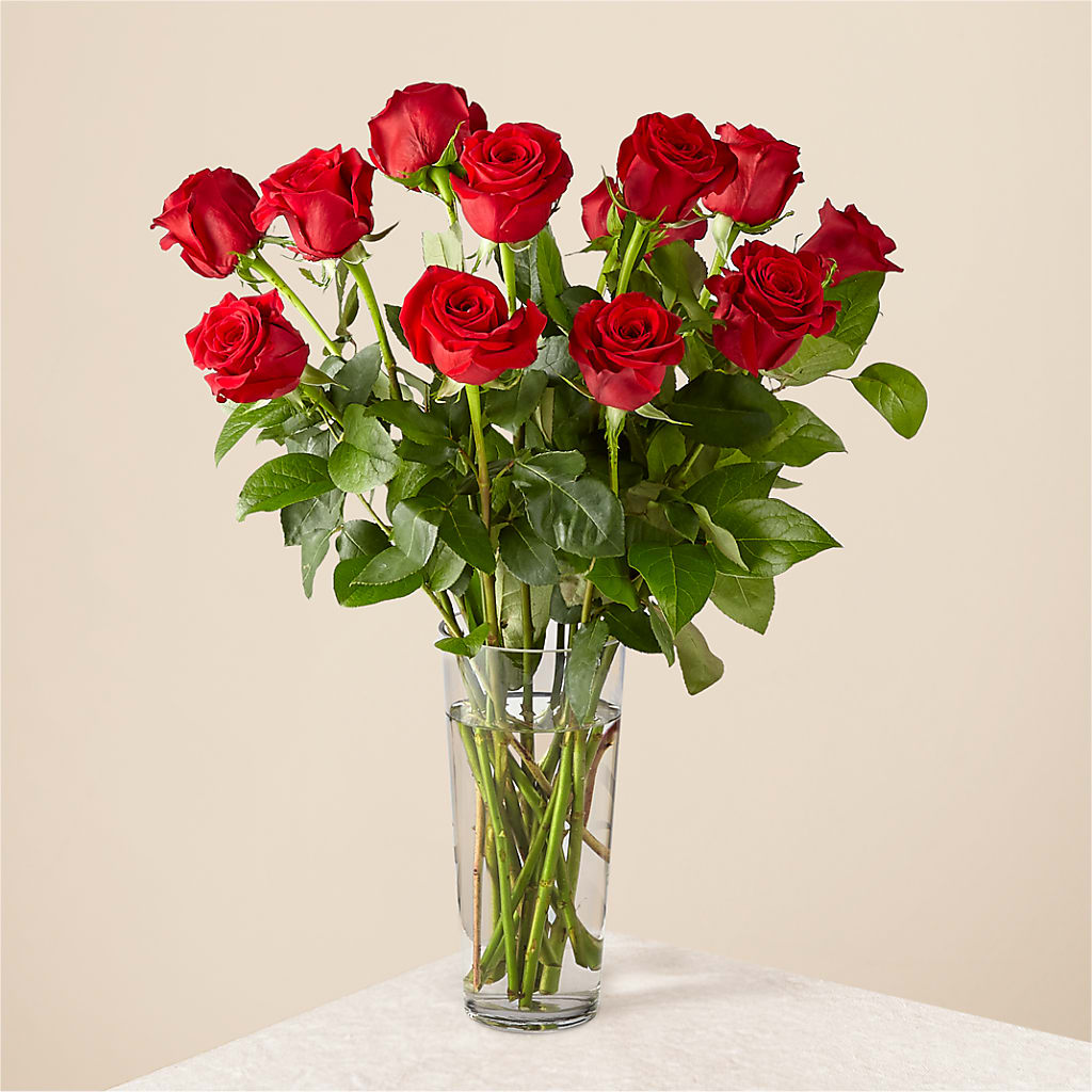 Long Stem Red Rose Bouquet – WILL & DEE'S FLORIST, Florence AL