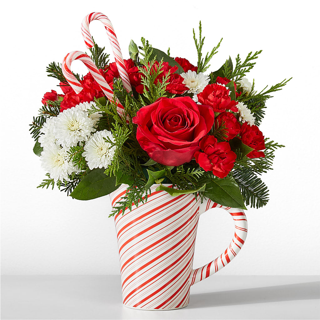 Peppermint Swirl Mug – WILL & DEE'S FLORIST, Florence AL