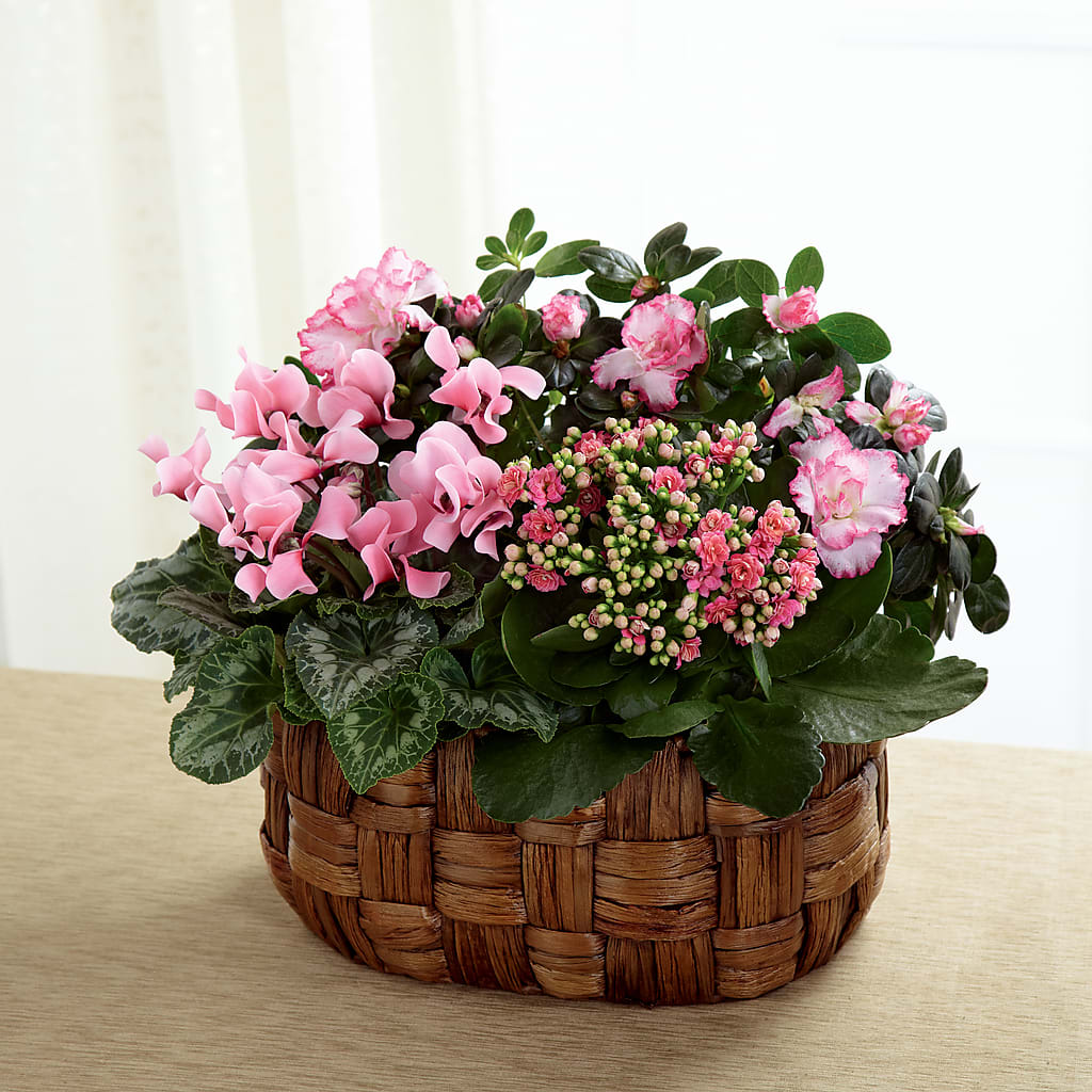 Pink Assortment – WILL & DEE'S FLORIST, Florence AL
