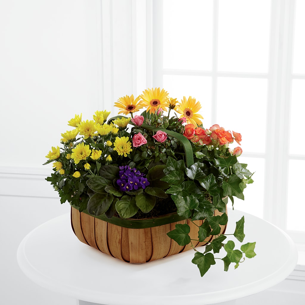 Gentle Blossoms Basket – WILL & DEE'S FLORIST, Florence AL