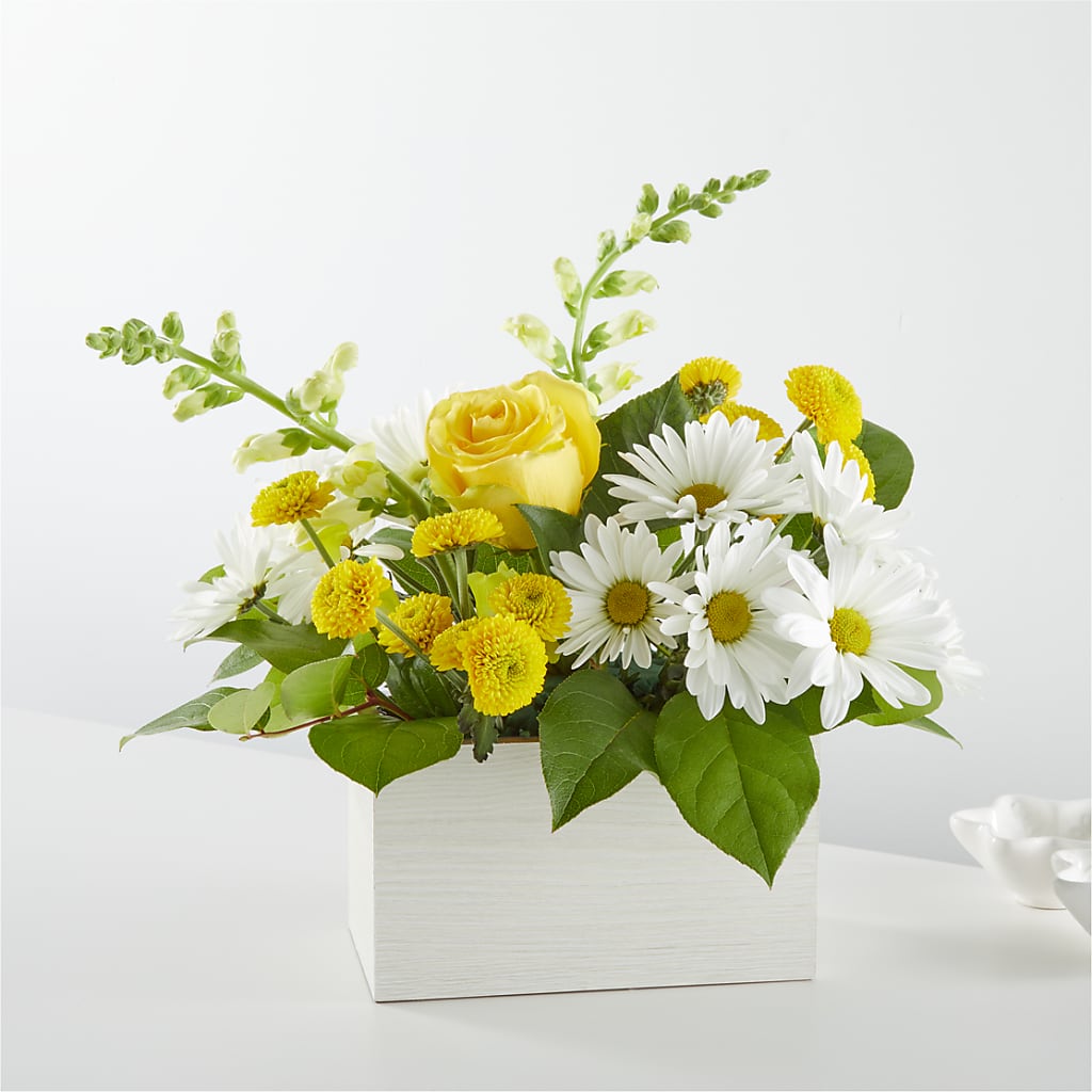 Sun Salutation Box Bouquet – WILL & DEE'S FLORIST, Florence AL