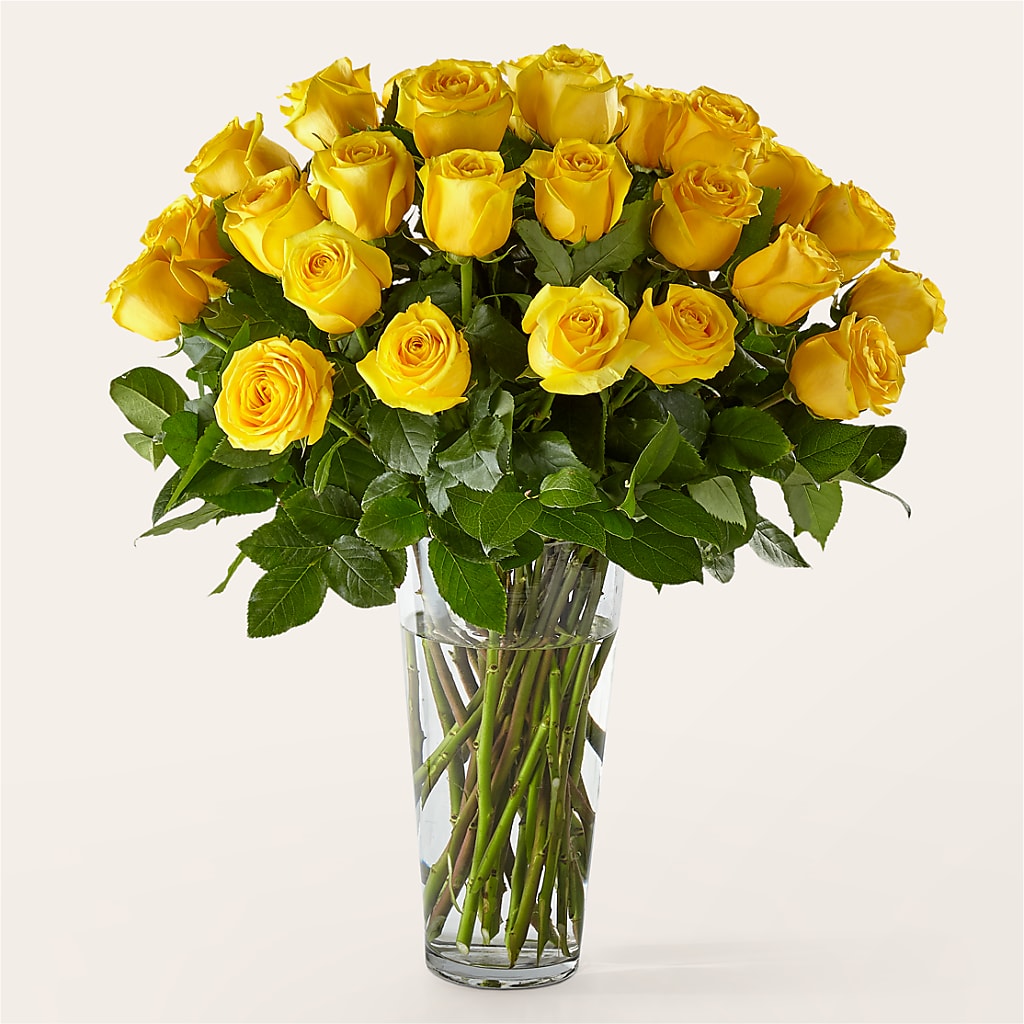 Long Stem Yellow Rose Bouquet – WILL & DEE'S FLORIST, Florence AL