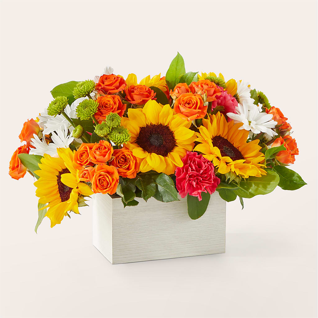 Sun-drenched Blooms Box Bouquet – WILL & DEE'S FLORIST, Florence AL