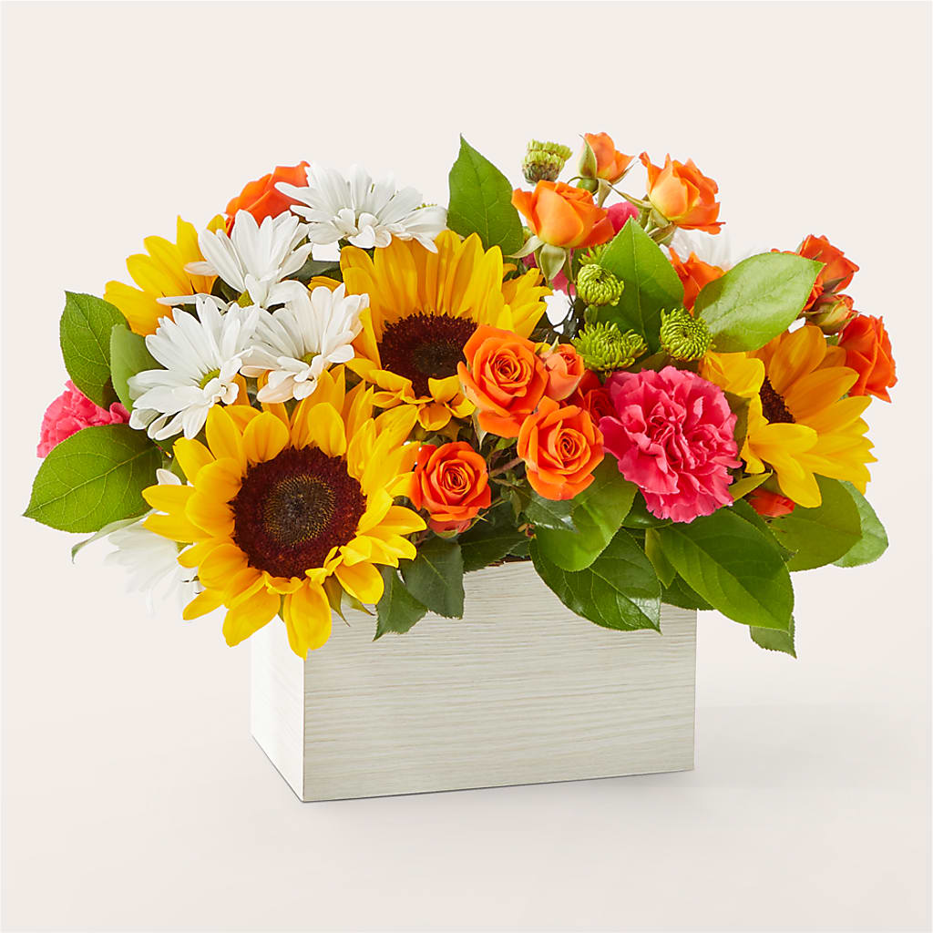 Sun-drenched Blooms Box Bouquet – WILL & DEE'S FLORIST, Florence AL