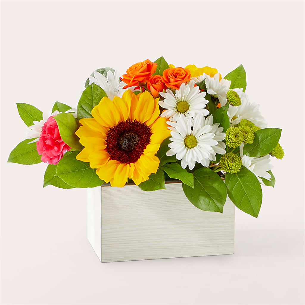 Sun-drenched Blooms Box Bouquet – WILL & DEE'S FLORIST, Florence AL