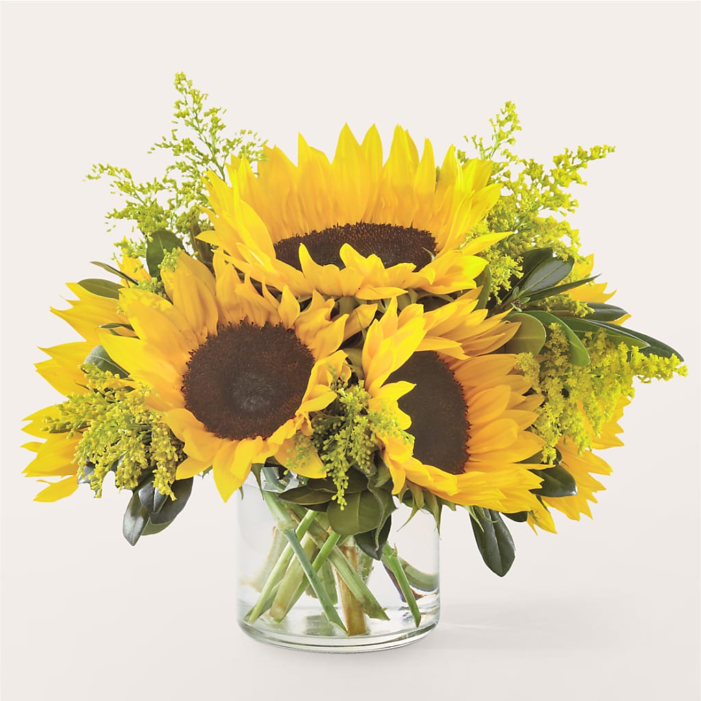 Beaming Sunflower Bouquet – WILL & DEE'S FLORIST, Florence AL
