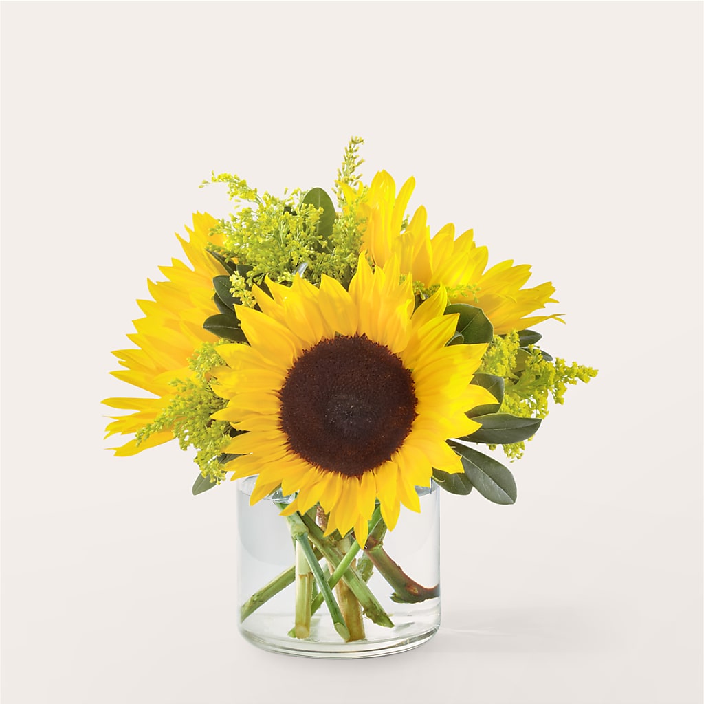 Beaming Sunflower Bouquet – WILL & DEE'S FLORIST, Florence AL