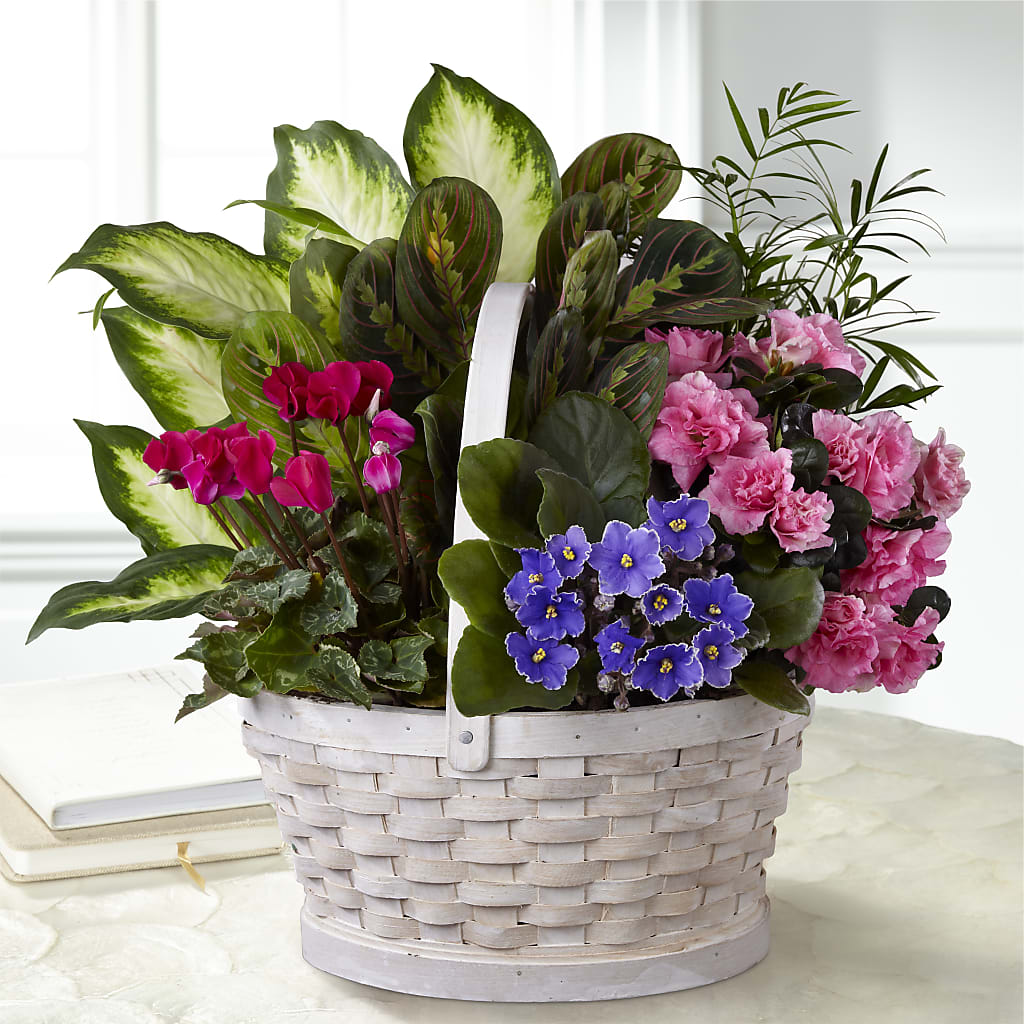 Peaceful Garden Planter – WILL & DEE'S FLORIST, Florence AL