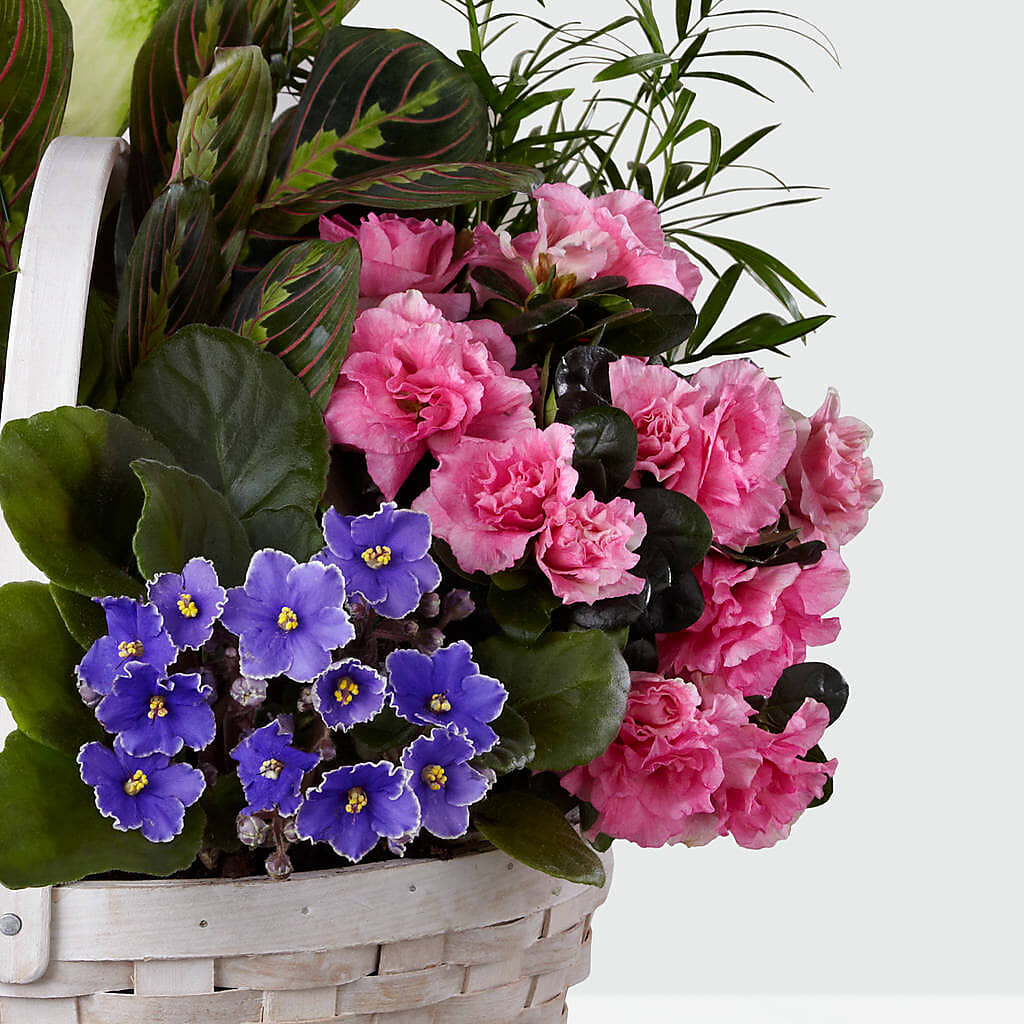 Peaceful Garden Planter – WILL & DEE'S FLORIST, Florence AL