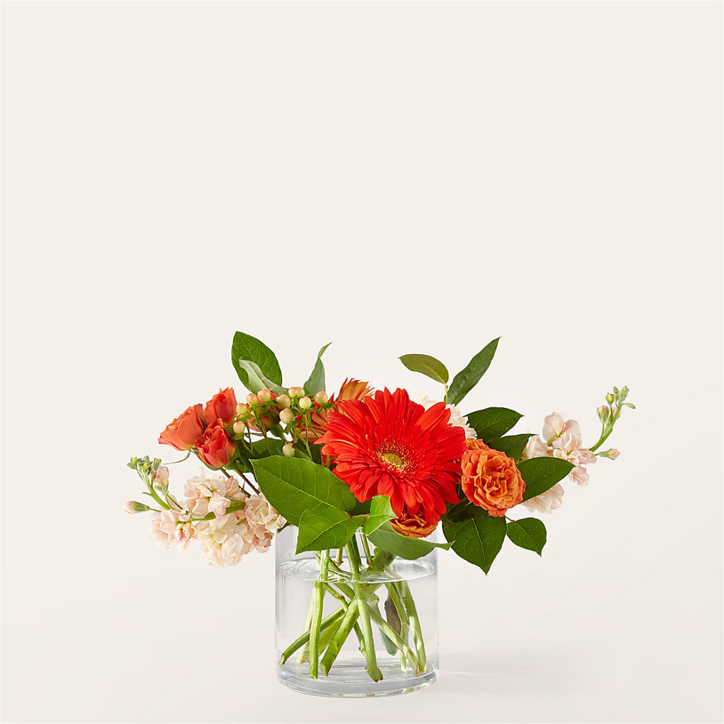 Paloma Please Bouquet – WILL & DEE'S FLORIST, Florence AL