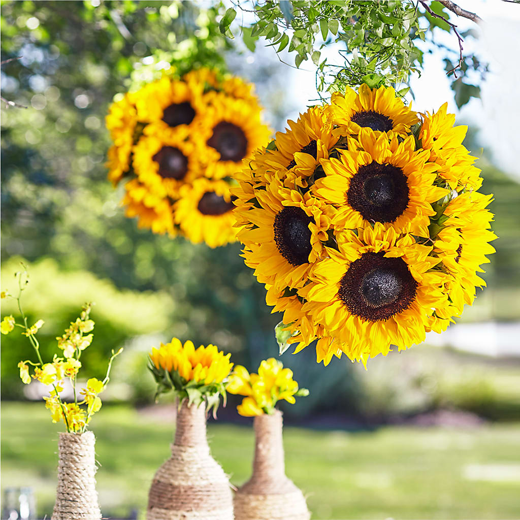 Sublime Garden Hanging Arrangement – WILL & DEE'S FLORIST, Florence AL