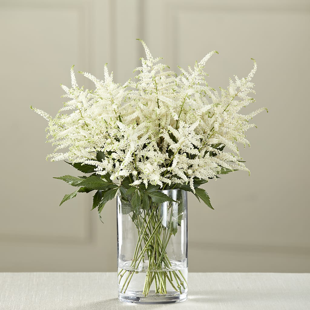 White Astilbe Bouquet – WILL & DEE'S FLORIST, Florence AL