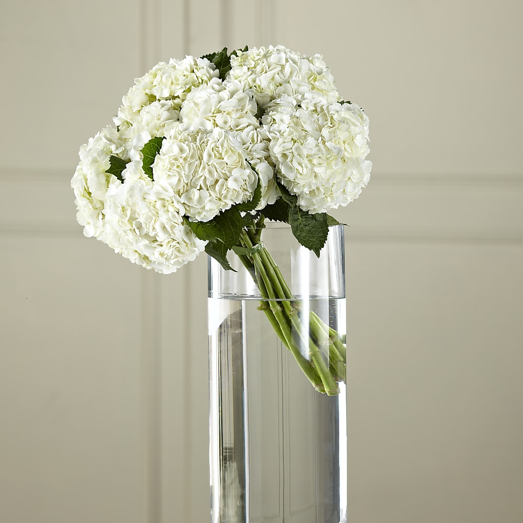 White Hydrangea Hand-Tied Bouquet – WILL & DEE'S FLORIST, Florence AL
