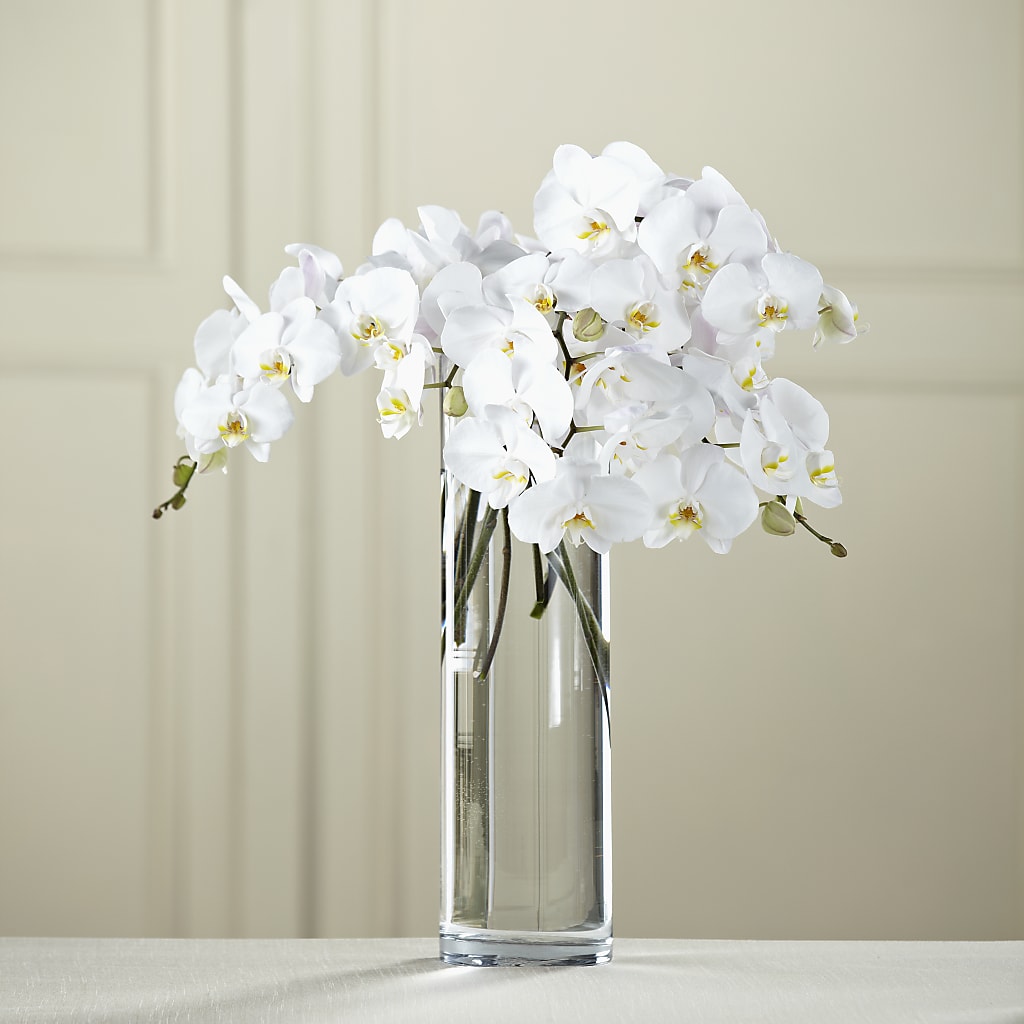 White Phalaenopsis Bouquet – WILL & DEE'S FLORIST, Florence AL