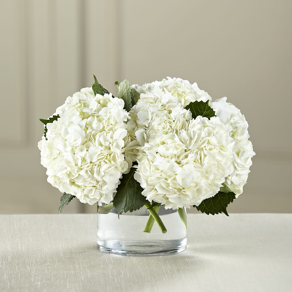 White Hydrangea Bouquet – WILL & DEE'S FLORIST, Florence AL
