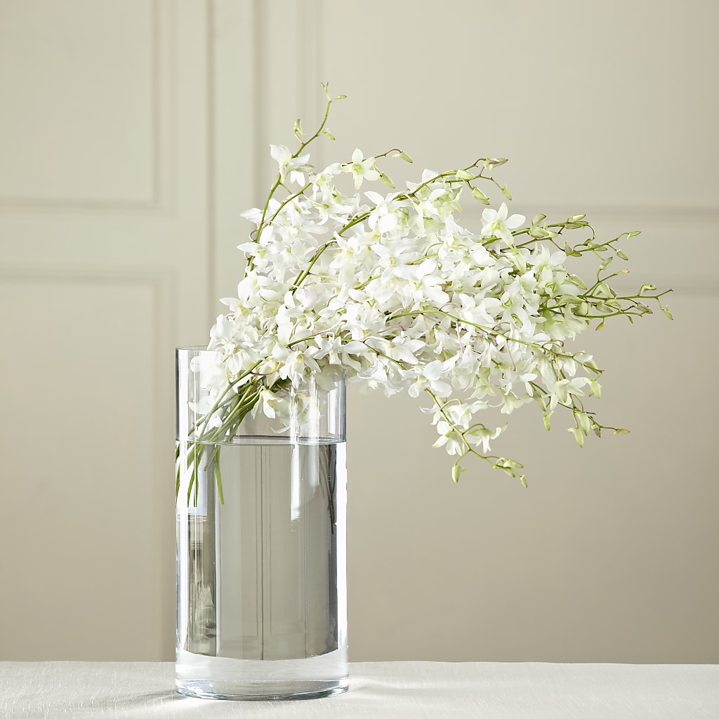 White Dendrobium Bouquet – WILL & DEE'S FLORIST, Florence AL