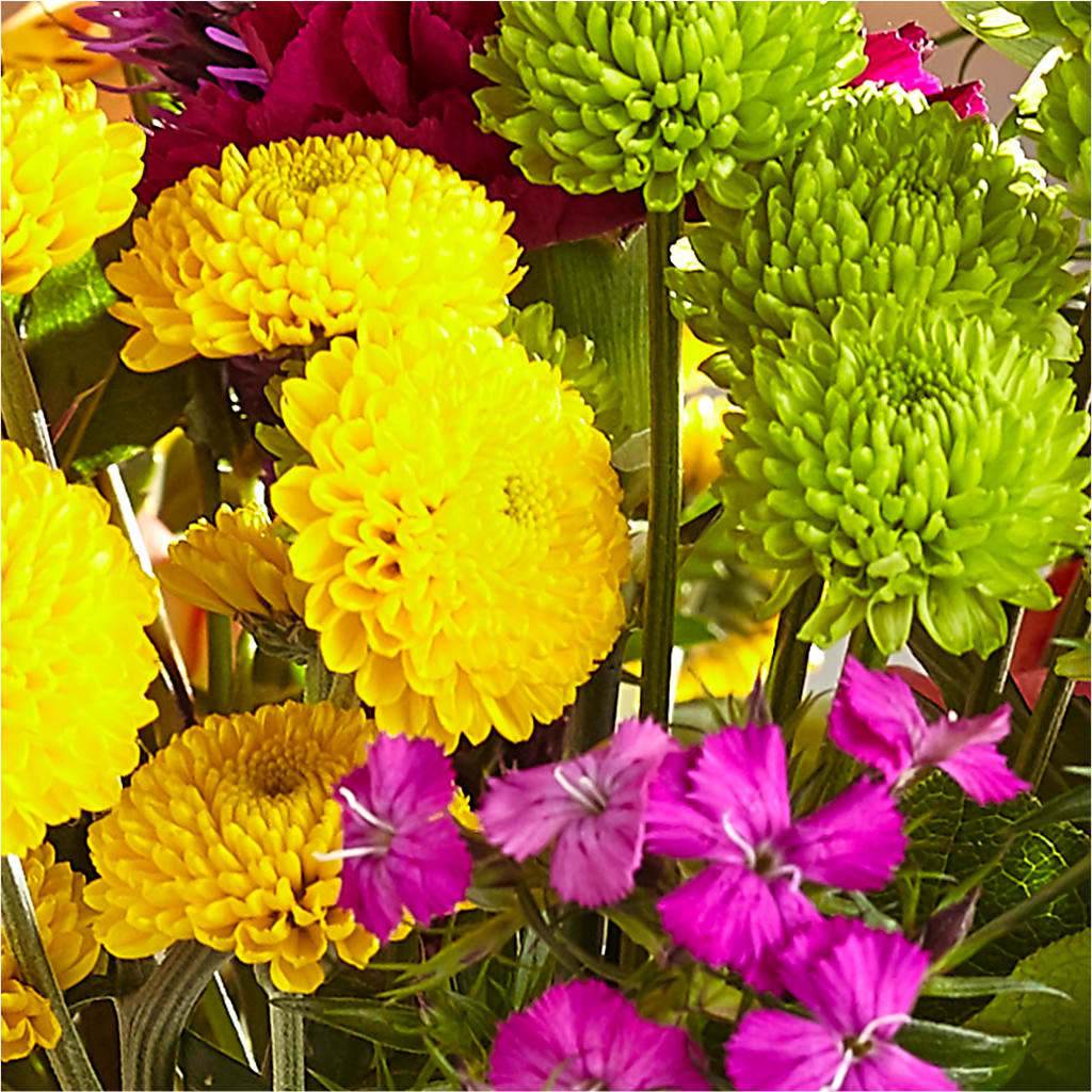 Bold & Bright – A Florist Original – WILL & DEE'S FLORIST, Florence AL