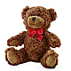 Adorable Plush Bear – WILL & DEE'S FLORIST, Florence AL