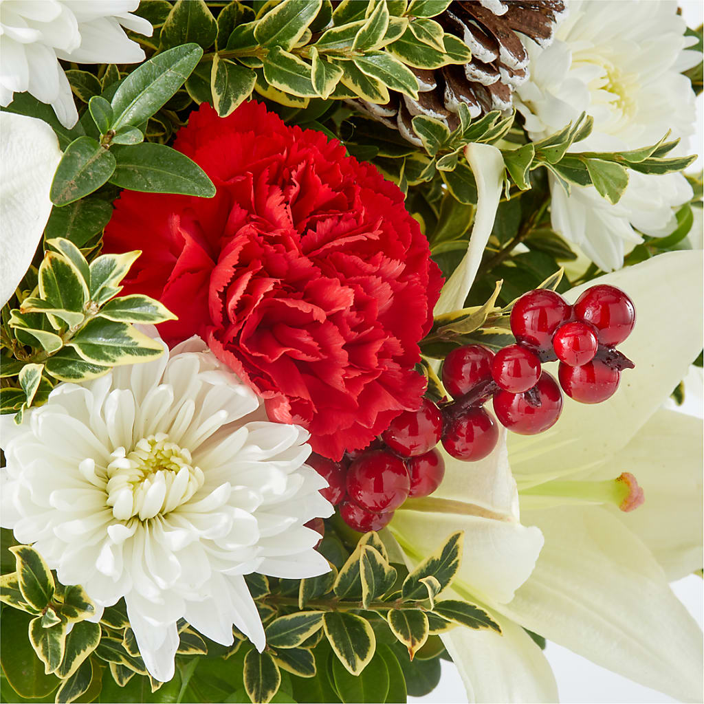 Festive Moments Tree – WILL & DEE'S FLORIST, Florence AL