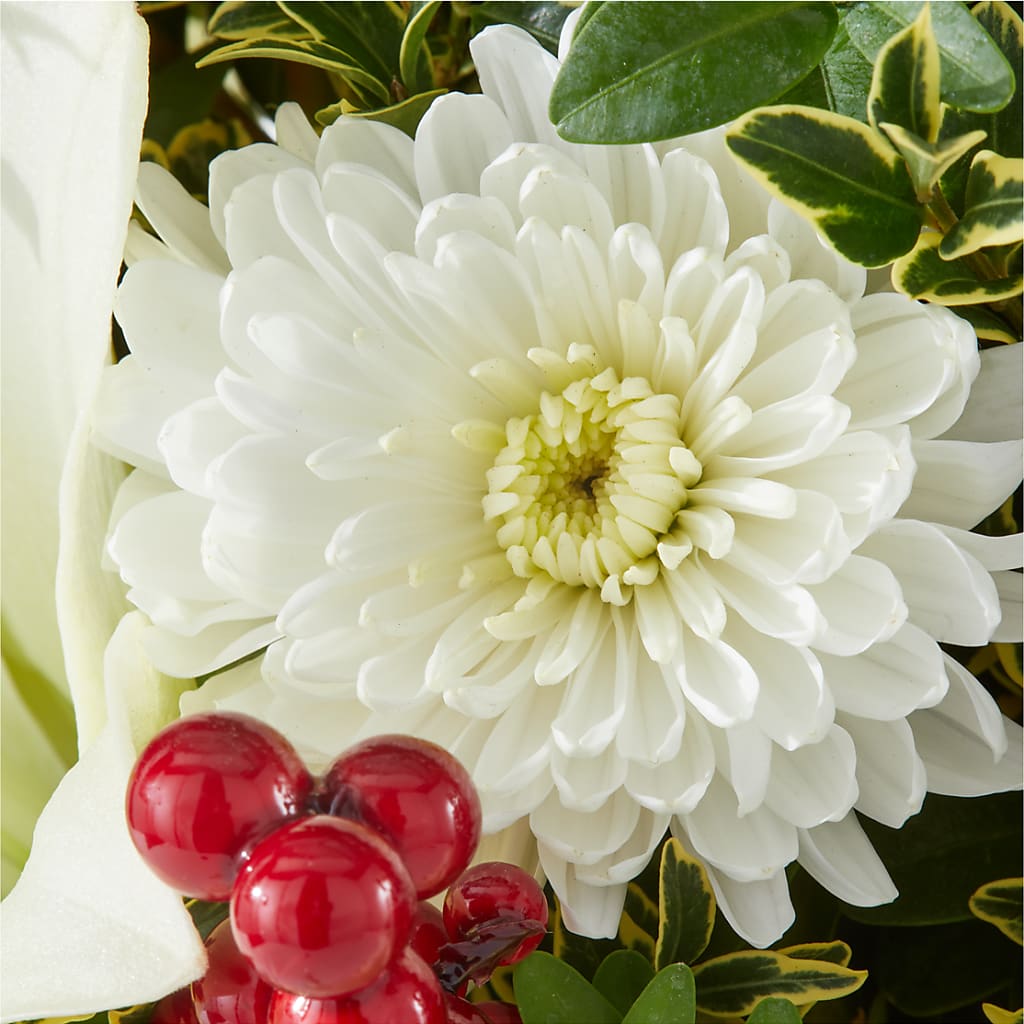 Festive Moments Tree – WILL & DEE'S FLORIST, Florence AL