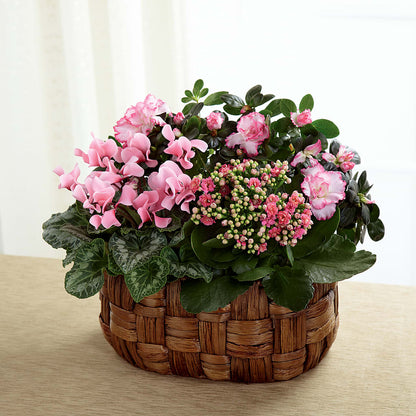 Pink Assortment – WILL & DEE'S FLORIST, Florence AL
