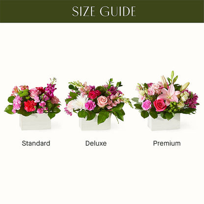 Sweetberry Box – A Florist Original – WILL & DEE'S FLORIST, Florence AL