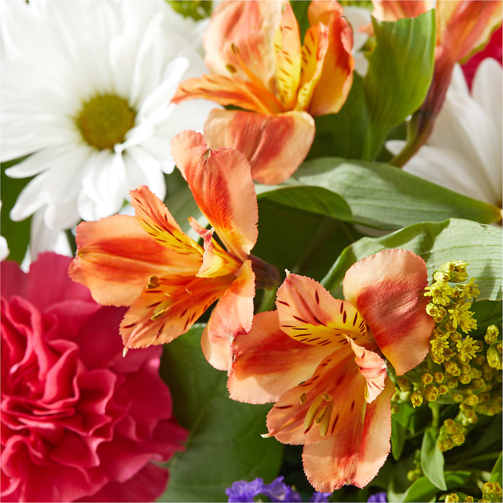 Oopsie Daisy Box Bouquet – WILL & DEE'S FLORIST, Florence AL