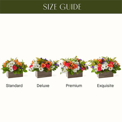 Oopsie Daisy Box Bouquet – WILL & DEE'S FLORIST, Florence AL
