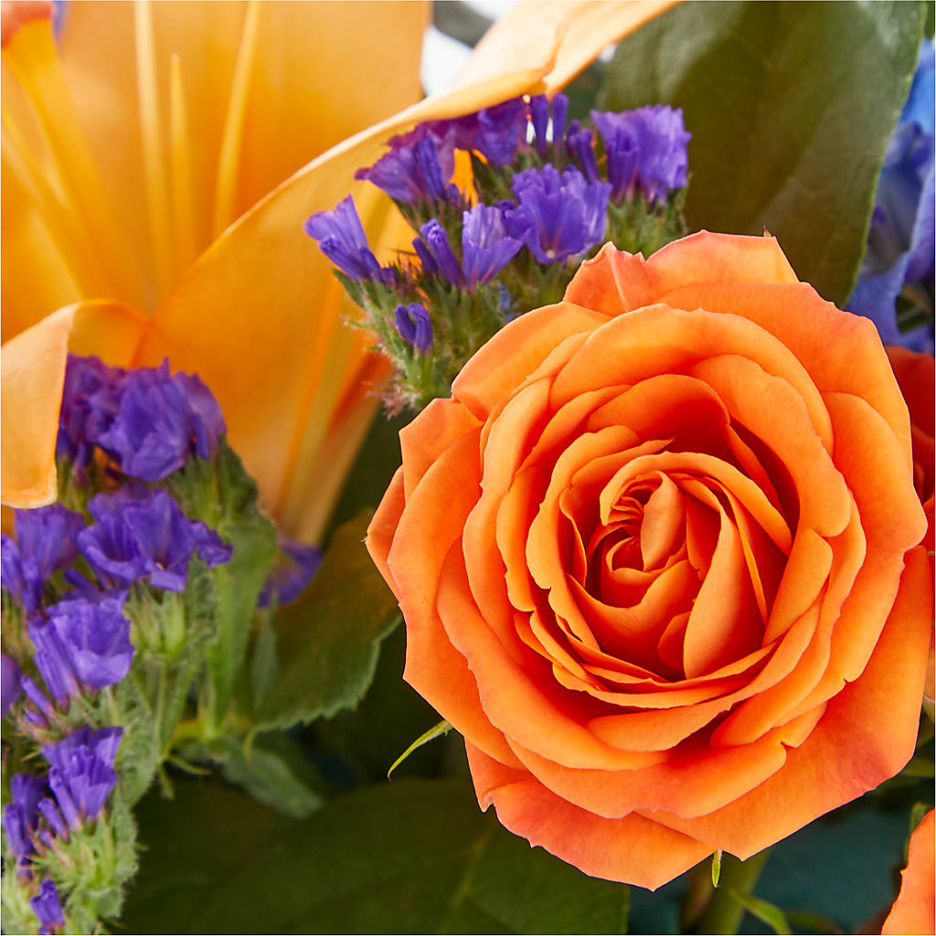 Radiant Citrus Box Bouquet – WILL & DEE'S FLORIST, Florence AL