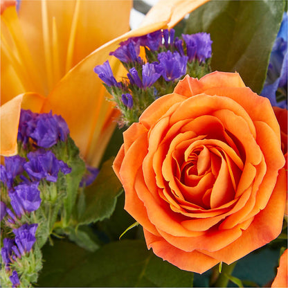 Radiant Citrus Box Bouquet – WILL & DEE'S FLORIST, Florence AL