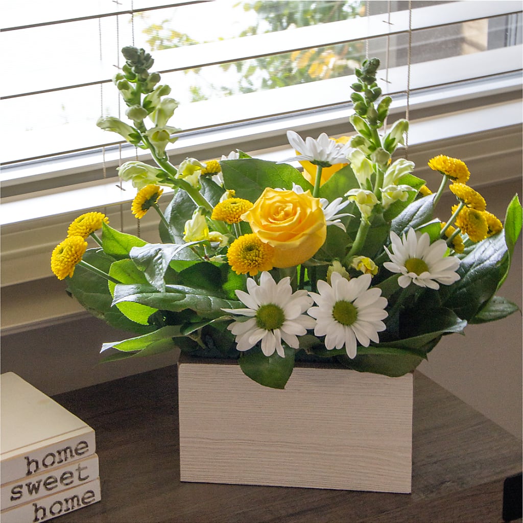 Sun Salutation Box Bouquet – WILL & DEE'S FLORIST, Florence AL