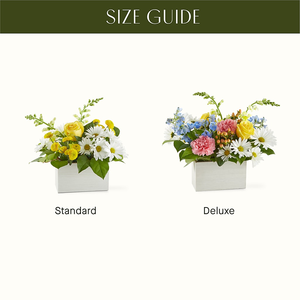 Sun Salutation Box Bouquet – WILL & DEE'S FLORIST, Florence AL
