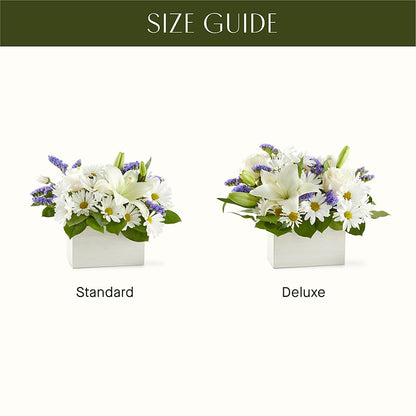 Beyond Blue Box Bouquet – WILL & DEE'S FLORIST, Florence AL