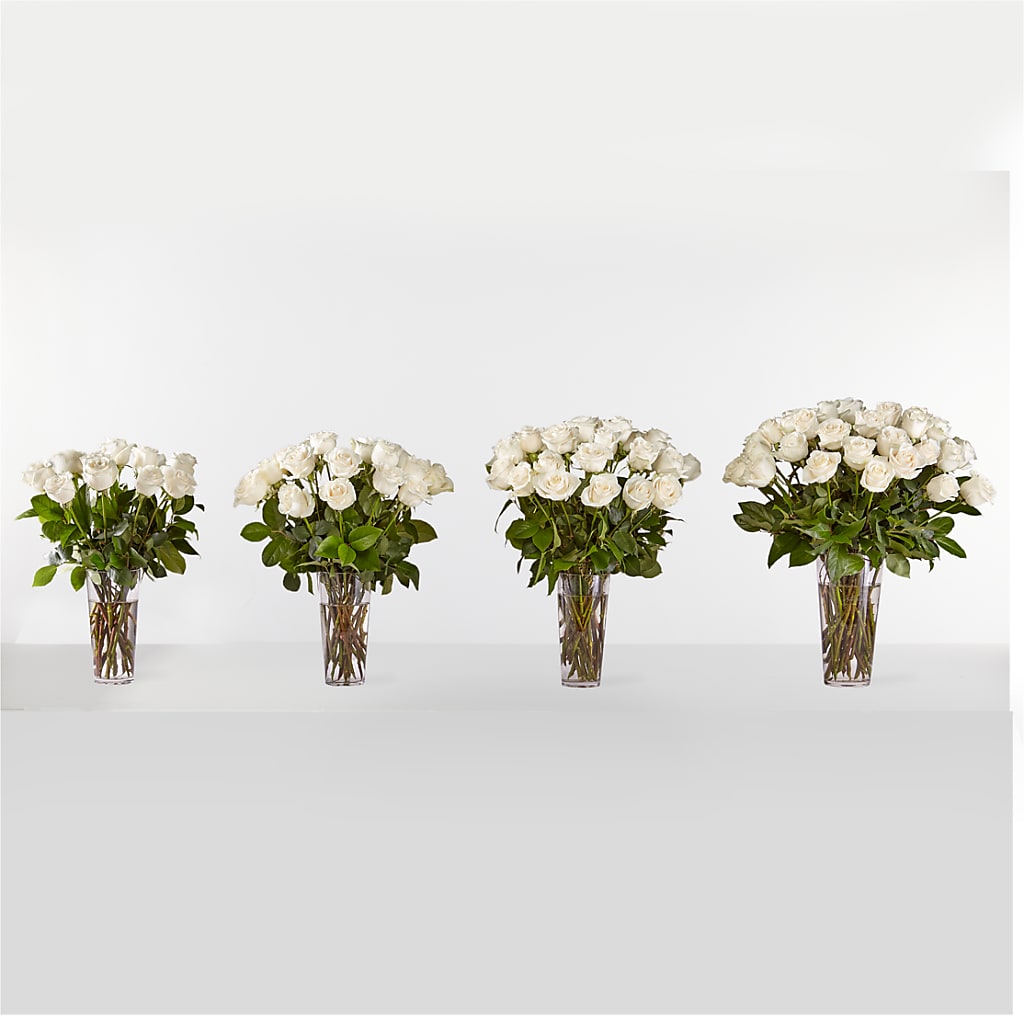 Long Stem White Rose Bouquet – WILL & DEE'S FLORIST, Florence AL