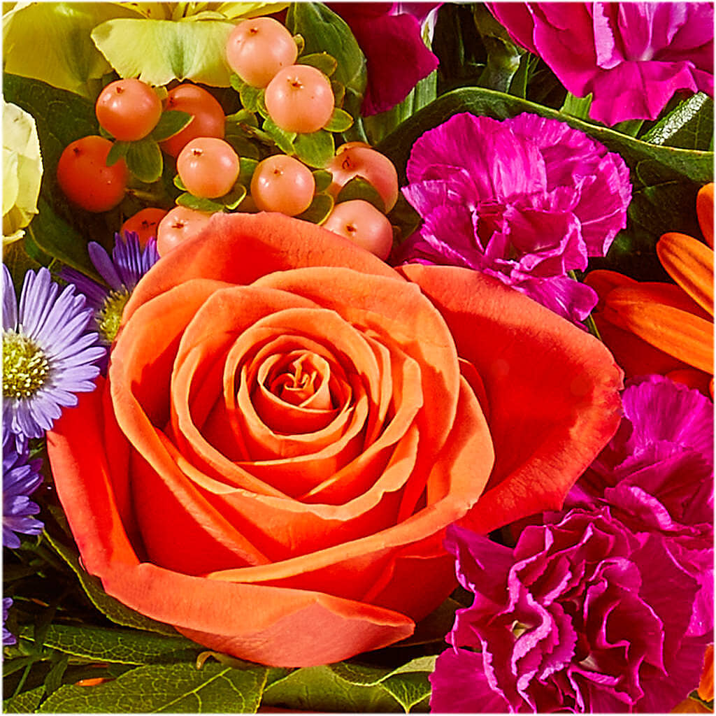 Tricks & Treats Pumpkin – WILL & DEE'S FLORIST, Florence AL