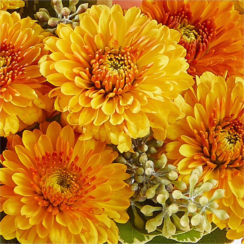 Peachy Pumpkin – WILL & DEE'S FLORIST, Florence AL