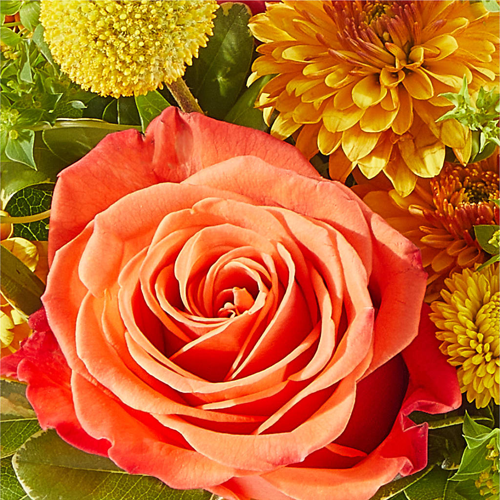 Gourdgeous Pumpkin – WILL & DEE'S FLORIST, Florence AL