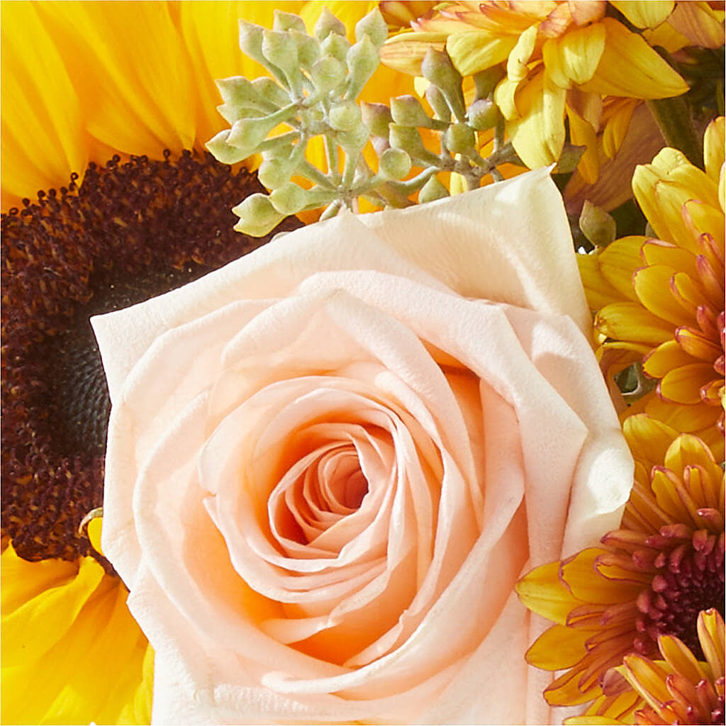 Pumpkin to Talk About Bouquet – WILL & DEE'S FLORIST, Florence AL