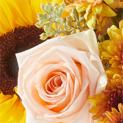 Pumpkin to Talk About Bouquet – WILL & DEE'S FLORIST, Florence AL