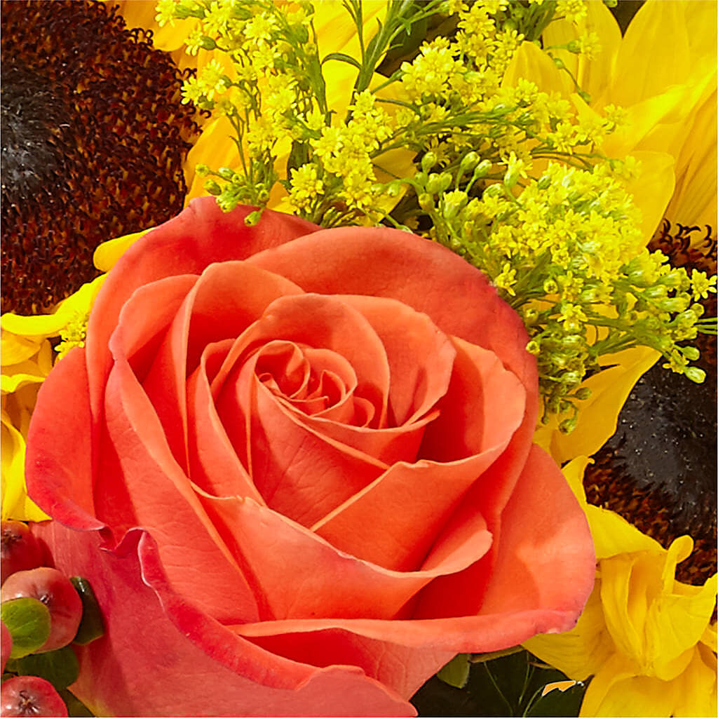 Pick of the Patch Pumpkin Bouquet – WILL & DEE'S FLORIST, Florence AL