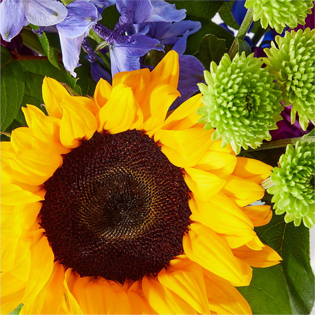 Catching Rays Bouquet – WILL & DEE'S FLORIST, Florence AL