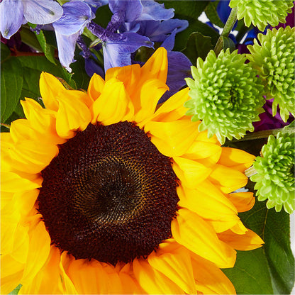 Catching Rays Bouquet – WILL & DEE'S FLORIST, Florence AL