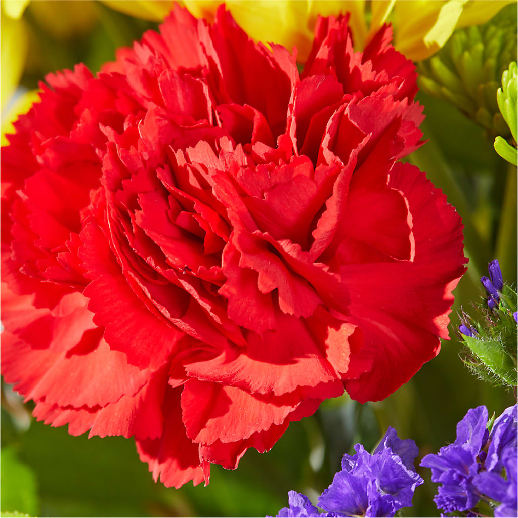 Brighter Days Bouquet – WILL & DEE'S FLORIST, Florence AL