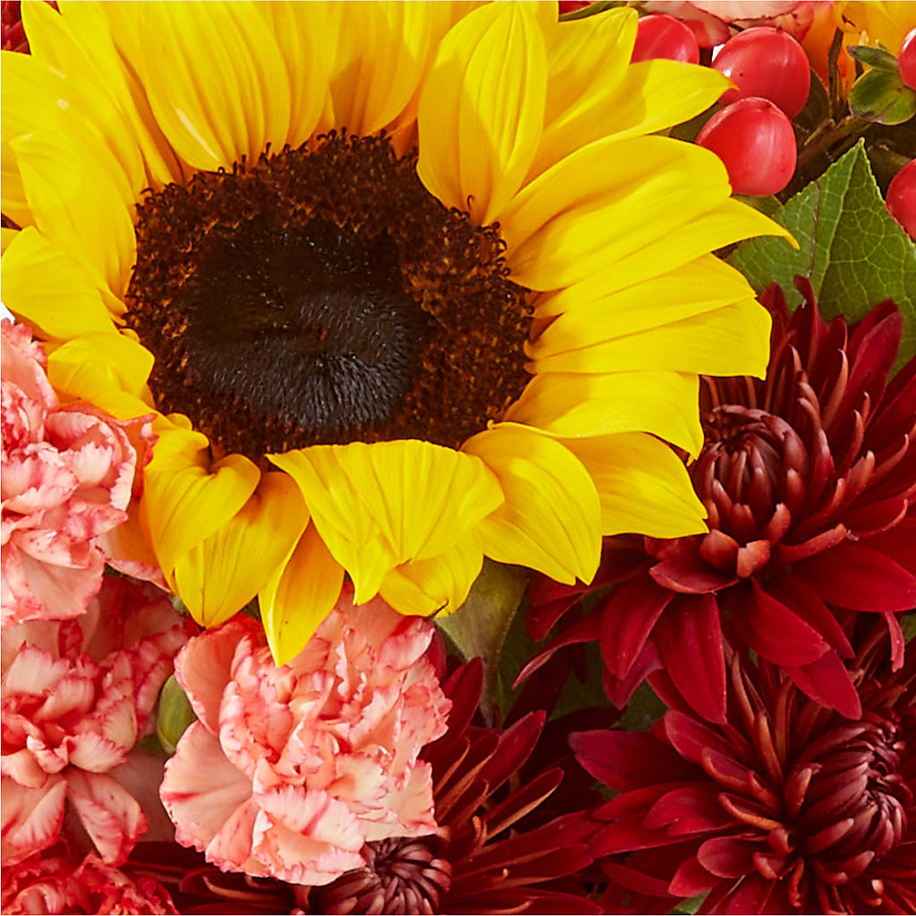 Fresh Cider Bouquet – WILL & DEE'S FLORIST, Florence AL