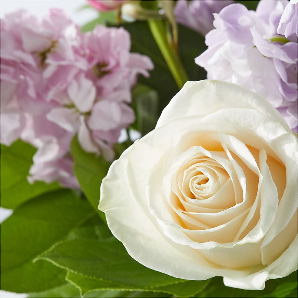Springtime Spritz Bouquet – WILL & DEE'S FLORIST, Florence AL