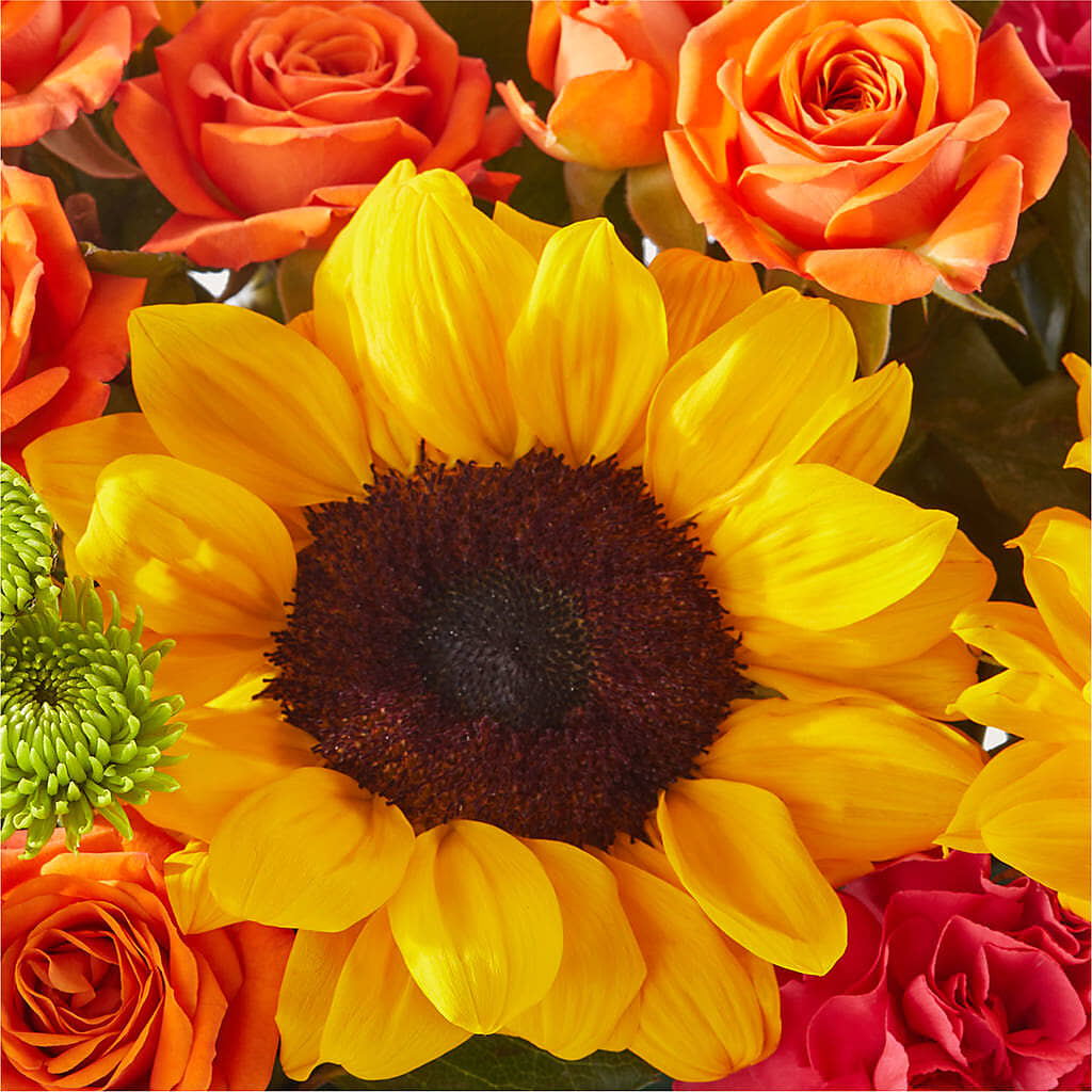 Sun-drenched Blooms Box Bouquet – WILL & DEE'S FLORIST, Florence AL