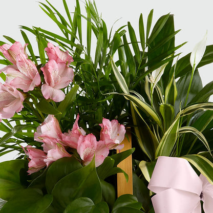 Living Spirit Dishgarden – WILL & DEE'S FLORIST, Florence AL