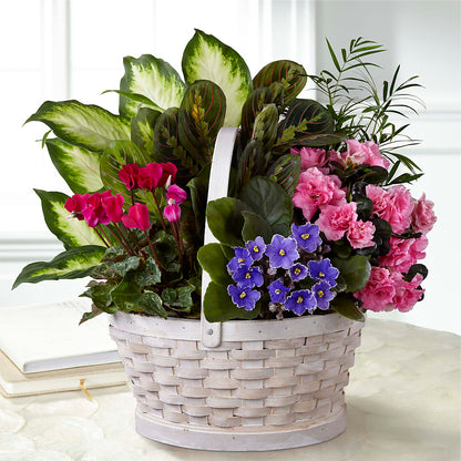 Peaceful Garden Planter – WILL & DEE'S FLORIST, Florence AL