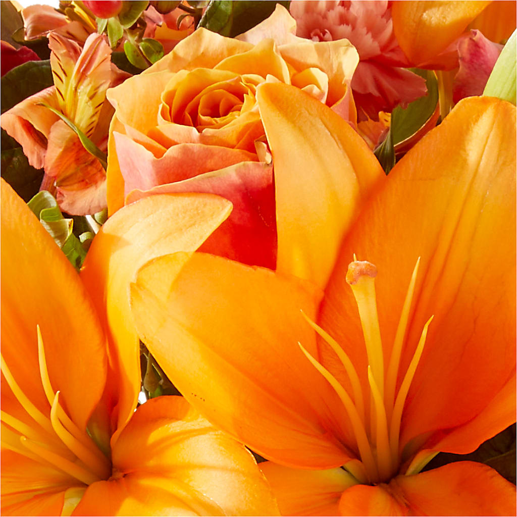 Afternoon Light Bouquet – WILL & DEE'S FLORIST, Florence AL